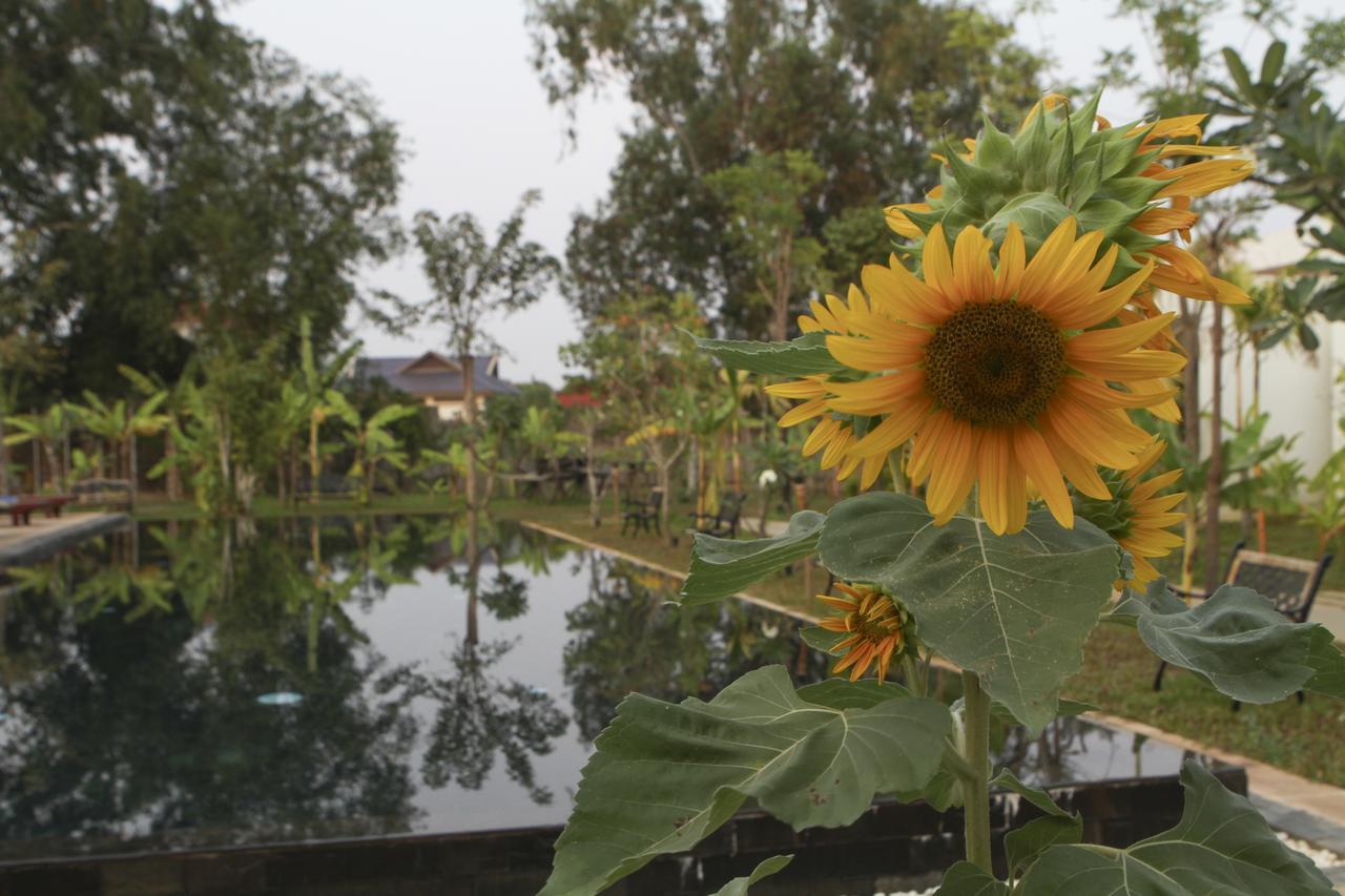Hotel Blue Spring Boutique Siem Reap Zewnętrze zdjęcie