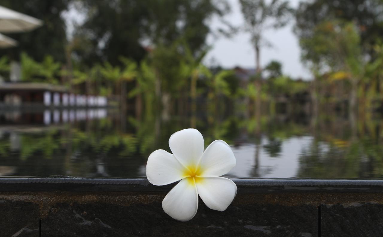 Hotel Blue Spring Boutique Siem Reap Zewnętrze zdjęcie